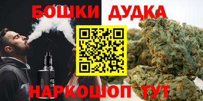МДПВ Пугачёв