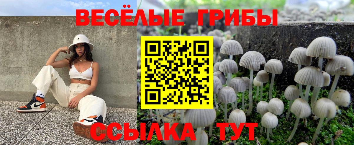 Галлюциногенные грибы мухоморы  Вход с VPN  Севастополь 