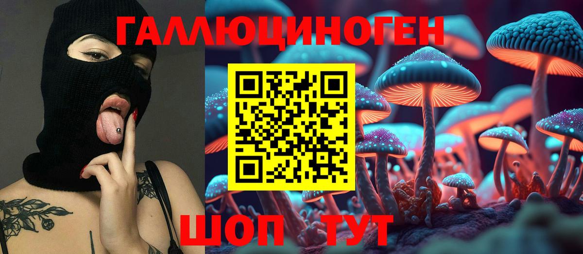 Галлюциногенные грибы Cubensis Севастополь